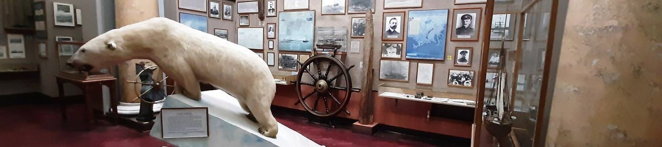 Проживание в отеле рядом с Музеем Арктики и Антарктики